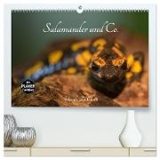 Salamander und Co. (hochwertiger Premium Wandkalender 2024 DIN A2 quer), Kunstdruck in Hochglanz