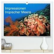 Impressionen tropischer Meere (hochwertiger Premium Wandkalender 2024 DIN A2 quer), Kunstdruck in Hochglanz