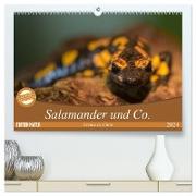 Salamander und Co. (hochwertiger Premium Wandkalender 2024 DIN A2 quer), Kunstdruck in Hochglanz