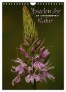 Juwelen der Natur - Ein Orchideensommer (Wandkalender 2024 DIN A4 hoch), CALVENDO Monatskalender