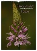 Juwelen der Natur - Ein Orchideensommer (Wandkalender 2024 DIN A3 hoch), CALVENDO Monatskalender