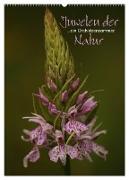 Juwelen der Natur - Ein Orchideensommer (Wandkalender 2024 DIN A2 hoch), CALVENDO Monatskalender