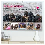 Briard-Welpen - Knuddelbären zum Verlieben (hochwertiger Premium Wandkalender 2024 DIN A2 quer), Kunstdruck in Hochglanz