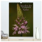 Juwelen der Natur - Ein Orchideensommer (hochwertiger Premium Wandkalender 2024 DIN A2 hoch), Kunstdruck in Hochglanz