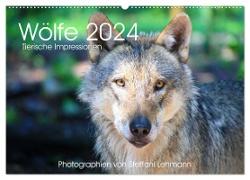 Wölfe 2024. Tierische Impressionen (Wandkalender 2024 DIN A2 quer), CALVENDO Monatskalender