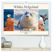 Wildes Helgoland - Basstölpel, Kegelrobbe und Co. 2024 (hochwertiger Premium Wandkalender 2024 DIN A2 quer), Kunstdruck in Hochglanz