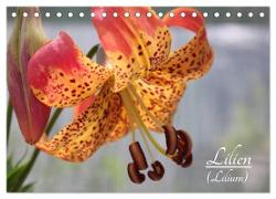 Lilien (Lilium) (Tischkalender 2024 DIN A5 quer), CALVENDO Monatskalender