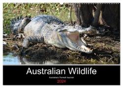Australian Wildlife (Wandkalender 2024 DIN A2 quer), CALVENDO Monatskalender