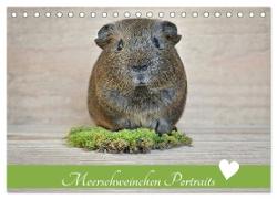 Meerschweinchen Portraits (Tischkalender 2024 DIN A5 quer), CALVENDO Monatskalender