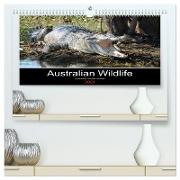 Australian Wildlife (hochwertiger Premium Wandkalender 2024 DIN A2 quer), Kunstdruck in Hochglanz