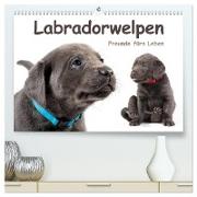 Labradorwelpen - Freunde fürs Leben (hochwertiger Premium Wandkalender 2024 DIN A2 quer), Kunstdruck in Hochglanz