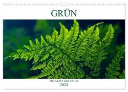 GRÜN . Die Kraft der Natur (Wandkalender 2024 DIN A3 quer), CALVENDO Monatskalender