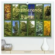 Faszinierende Bäume (hochwertiger Premium Wandkalender 2024 DIN A2 quer), Kunstdruck in Hochglanz