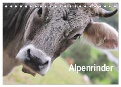 Alpenrinder (Tischkalender 2024 DIN A5 quer), CALVENDO Monatskalender