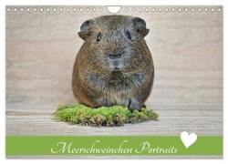 Meerschweinchen Portraits (Wandkalender 2024 DIN A4 quer), CALVENDO Monatskalender