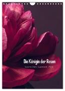 Die Königin der Rosen (Wandkalender 2024 DIN A4 hoch), CALVENDO Monatskalender