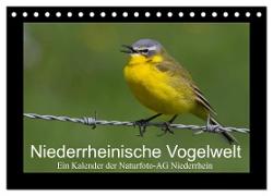 Niederrheinische Vogelwelt (Tischkalender 2024 DIN A5 quer), CALVENDO Monatskalender