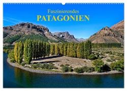Faszinierendes Patagonien (Wandkalender 2024 DIN A2 quer), CALVENDO Monatskalender