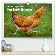 Neues von den Gartenhühnern (hochwertiger Premium Wandkalender 2024 DIN A2 quer), Kunstdruck in Hochglanz