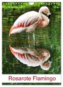 Rosarote Flamingo (Wandkalender 2024 DIN A4 hoch), CALVENDO Monatskalender