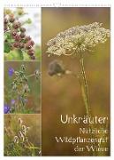 Unkräuter - Nützliche Wildpflanzen auf der Wiese (Wandkalender 2024 DIN A3 hoch), CALVENDO Monatskalender