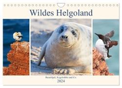 Wildes Helgoland - Basstölpel, Kegelrobbe und Co. 2024 (Wandkalender 2024 DIN A4 quer), CALVENDO Monatskalender