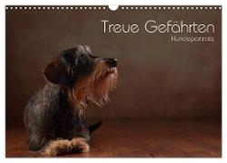 Treue Gefährten - Hundeportraits (Wandkalender 2024 DIN A3 quer), CALVENDO Monatskalender