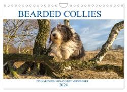 BEARDED COLLIES 2024 (Wandkalender 2024 DIN A4 quer), CALVENDO Monatskalender