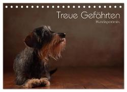 Treue Gefährten - Hundeportraits (Tischkalender 2024 DIN A5 quer), CALVENDO Monatskalender