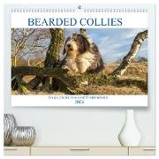BEARDED COLLIES 2024 (hochwertiger Premium Wandkalender 2024 DIN A2 quer), Kunstdruck in Hochglanz
