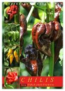 Chilis - Höllisch scharfe Früchtchen (Wandkalender 2024 DIN A4 hoch), CALVENDO Monatskalender