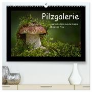 Pilzgalerie - Heimische Pilze aus der Region Rheinland-Pfalz (hochwertiger Premium Wandkalender 2024 DIN A2 quer), Kunstdruck in Hochglanz