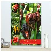 Chilis - Höllisch scharfe Früchtchen (hochwertiger Premium Wandkalender 2024 DIN A2 hoch), Kunstdruck in Hochglanz