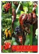 Chilis - Höllisch scharfe Früchtchen (Tischkalender 2024 DIN A5 hoch), CALVENDO Monatskalender