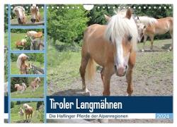 Tiroler Langmähnen (Wandkalender 2024 DIN A4 quer), CALVENDO Monatskalender