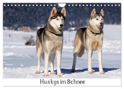 Huskys im Schnee (Wandkalender 2024 DIN A4 quer), CALVENDO Monatskalender