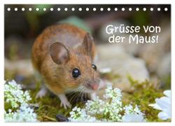 Grüsse von der Maus! (Tischkalender 2024 DIN A5 quer), CALVENDO Monatskalender