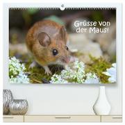 Grüsse von der Maus! (hochwertiger Premium Wandkalender 2024 DIN A2 quer), Kunstdruck in Hochglanz