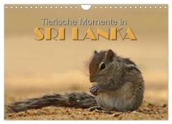 Sri Lanka - Tierische Momente (Wandkalender 2024 DIN A4 quer), CALVENDO Monatskalender