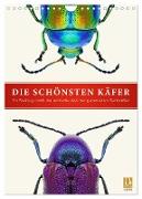 Die schönsten Käfer (Wandkalender 2024 DIN A4 hoch), CALVENDO Monatskalender