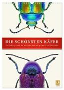 Die schönsten Käfer (Wandkalender 2024 DIN A3 hoch), CALVENDO Monatskalender