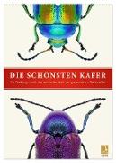 Die schönsten Käfer (Wandkalender 2024 DIN A2 hoch), CALVENDO Monatskalender