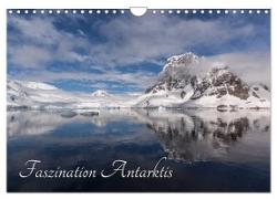 Faszination Antarktis (Wandkalender 2024 DIN A4 quer), CALVENDO Monatskalender