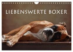 Liebenswerte Boxer (Wandkalender 2024 DIN A4 quer), CALVENDO Monatskalender