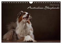 Charmante Australian Shepherds (Wandkalender 2024 DIN A4 quer), CALVENDO Monatskalender
