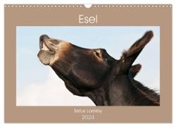 Esel - Sixtus Loreley (Wandkalender 2024 DIN A3 quer), CALVENDO Monatskalender