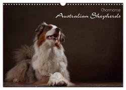 Charmante Australian Shepherds (Wandkalender 2024 DIN A3 quer), CALVENDO Monatskalender