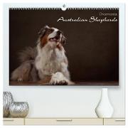 Charmante Australian Shepherds (hochwertiger Premium Wandkalender 2024 DIN A2 quer), Kunstdruck in Hochglanz