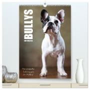 Bullys mit Charme - Französische Bulldoggen im Portrait (hochwertiger Premium Wandkalender 2024 DIN A2 hoch), Kunstdruck in Hochglanz