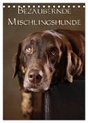 Bezaubernde Mischlingshunde (Tischkalender 2024 DIN A5 hoch), CALVENDO Monatskalender